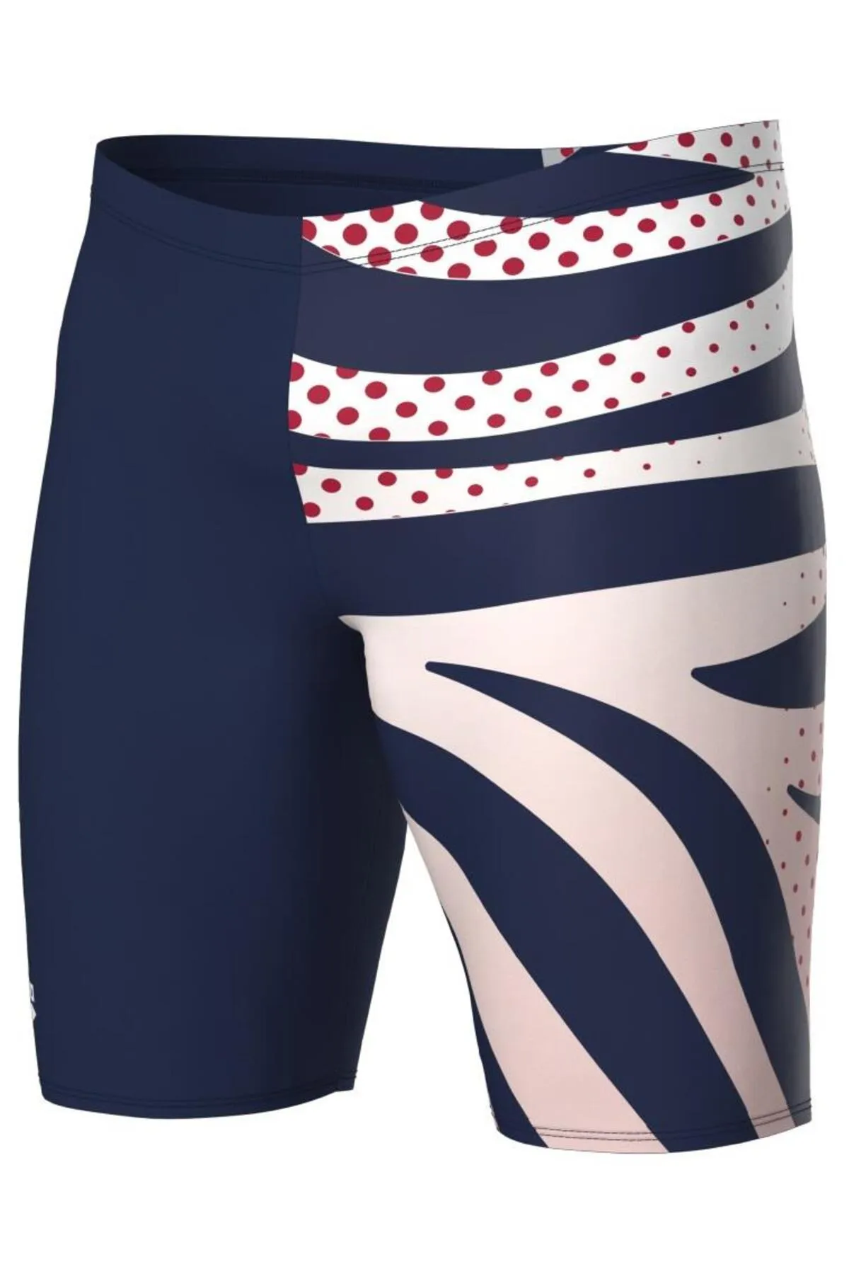 MULTI STRIPES ERKEK YÜZÜCÜ MAYOSU 007236710 — görsel 1